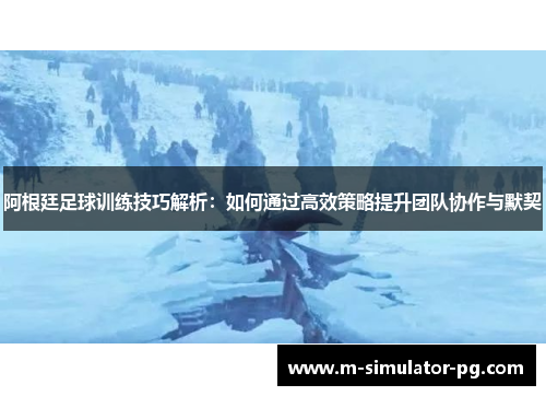 阿根廷足球训练技巧解析：如何通过高效策略提升团队协作与默契