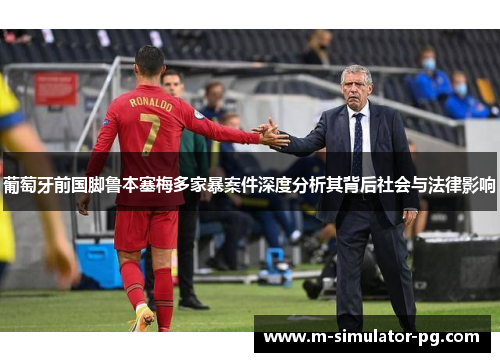 葡萄牙前国脚鲁本塞梅多家暴案件深度分析其背后社会与法律影响