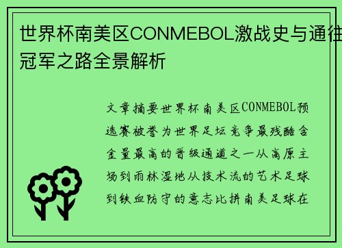 世界杯南美区CONMEBOL激战史与通往冠军之路全景解析