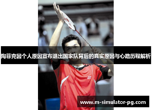 陶菲克因个人原因宣布退出国家队背后的真实原因与心路历程解析