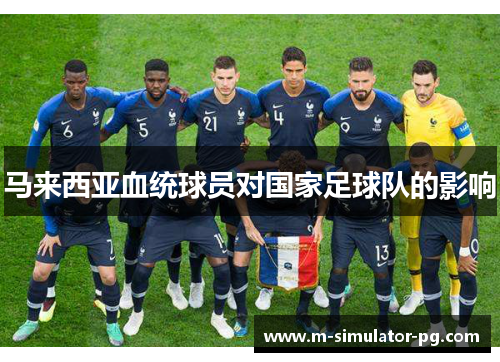 马来西亚血统球员对国家足球队的影响