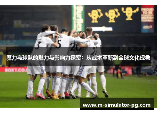 魔力鸟球队的魅力与影响力探索：从战术革新到全球文化现象