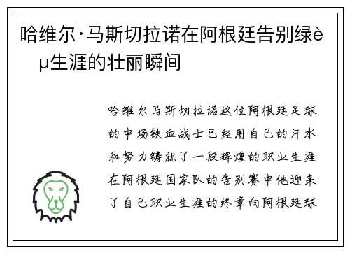 哈维尔·马斯切拉诺在阿根廷告别绿茵生涯的壮丽瞬间 哈维尔·马斯切拉诺在阿根廷告别绿茵生涯的壮丽瞬间
